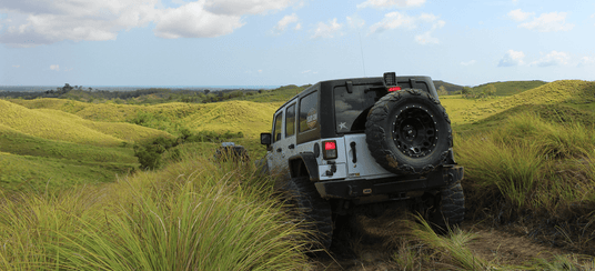 Winding dirt road through a dense forest with misty atmosphere